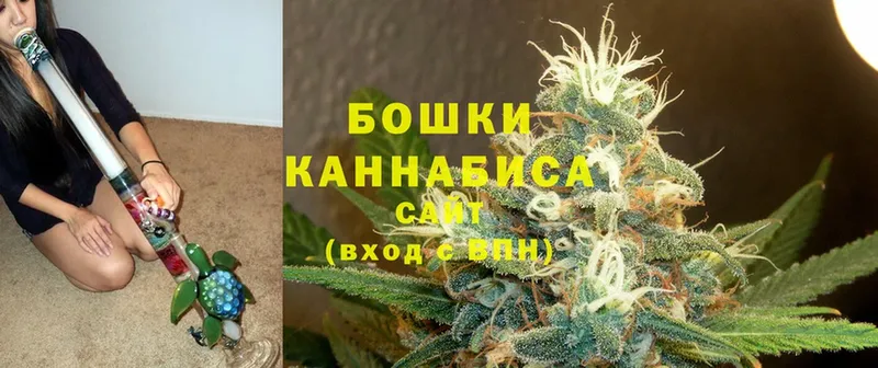 Шишки марихуана конопля  магазин продажи наркотиков  Карачев 